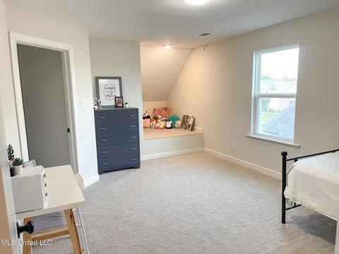 13363 N Fields Ln, Olive Branch, MS 38654 photo 38