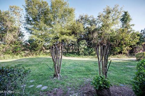 8 Bluff, Brandon, MS 39047 photo 7