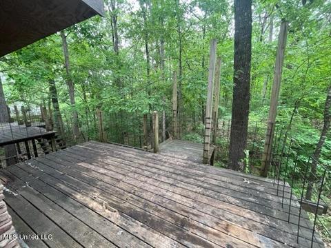256 N Forrest Dr, Sardis, MS 38666 photo 6