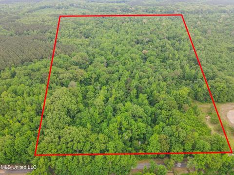203 Garrett Ln, Pelahatchie, MS 39145