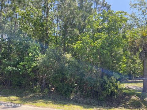 Suzanne Lot 34 Avenue, Pass Christian, MS 39571