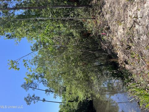 Suzanne Lot 33 Avenue, Pass Christian, MS 39571