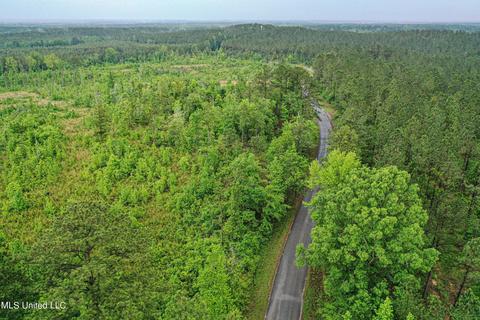 Mt. Pleasant Road, Noxapater, MS 39346