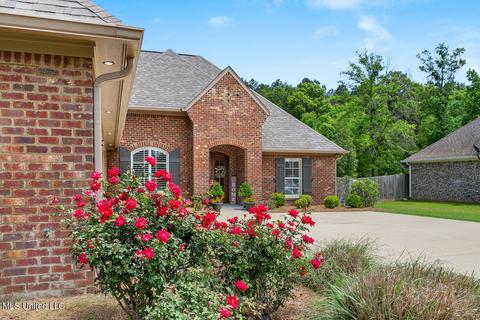 160 Buckhead Dr, Madison, MS 39110 photo 30