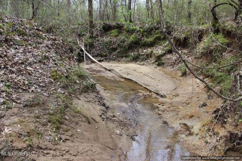 22000 Highway 35, Kosciusko, MS 39090