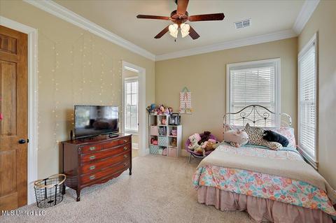 304 Loring Cir, Brandon, MS 39042 photo 46