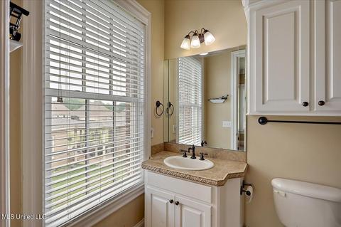 304 Loring Cir, Brandon, MS 39042 photo 44