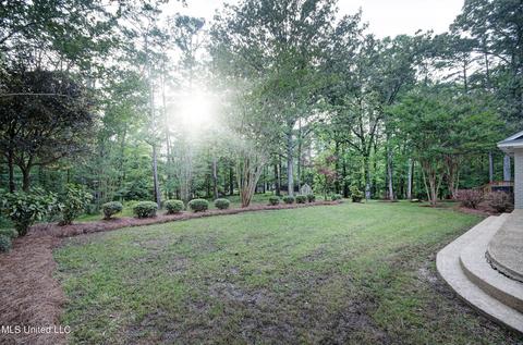4 Chartres St, Brandon, MS 39047 photo 28