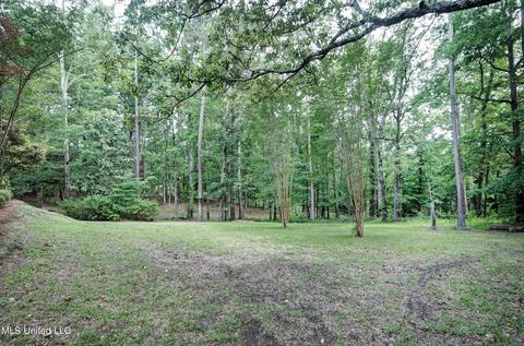 4 Chartres St, Brandon, MS 39047 photo 29