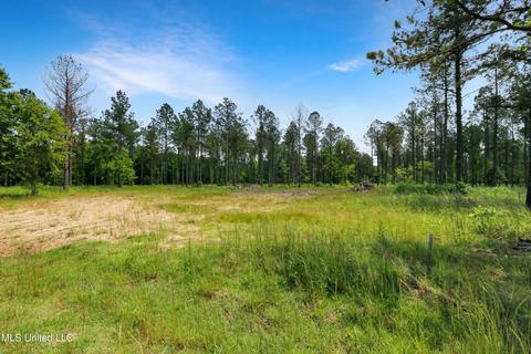 Cane Creek Road, Flora, MS 39071