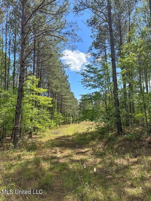 2078 Little Rock Road Rd, Crystal Springs, MS 39059