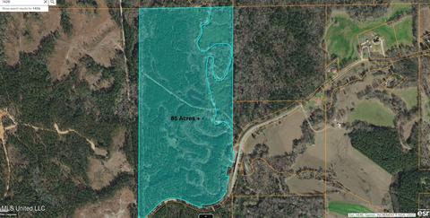 Scr 114, Mize, MS 39116