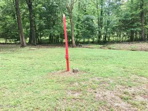 730 Reed Rd, Hernando, MS 38632 photo 10