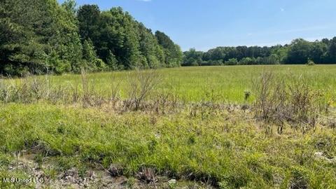 030 Ms-21, Forest, MS 39074
