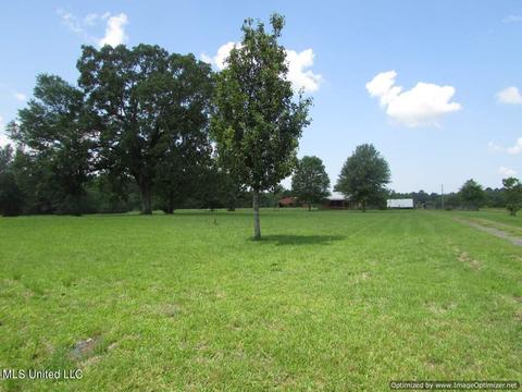 413 Ratliff Ferry Road Rd, Canton, MS 39046 photo 6