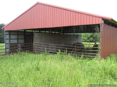 413 Ratliff Ferry Road Rd, Canton, MS 39046 photo 13