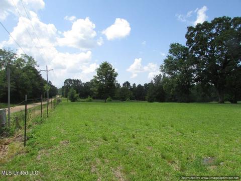 413 Ratliff Ferry Road Rd, Canton, MS 39046 photo 5