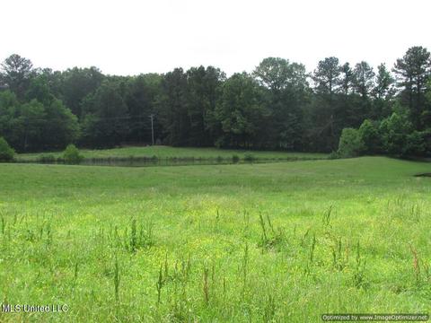413 Ratliff Ferry Road Rd, Canton, MS 39046 photo 16