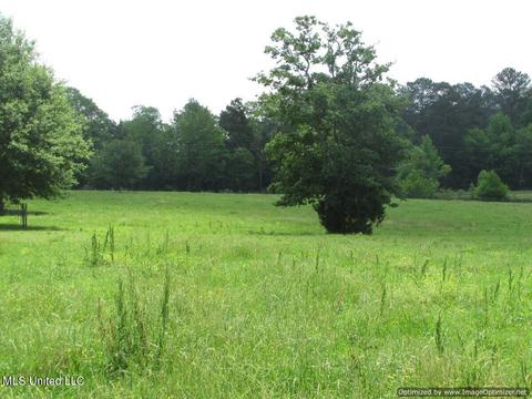 413 Ratliff Ferry Road Rd, Canton, MS 39046 photo 15