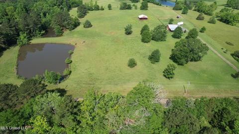 413 Ratliff Ferry Road Rd, Canton, MS 39046 photo 25