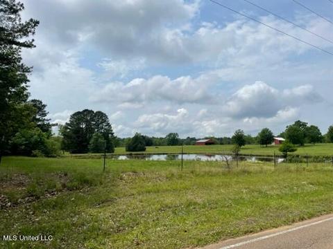 413 Ratliff Ferry Road Rd, Canton, MS 39046