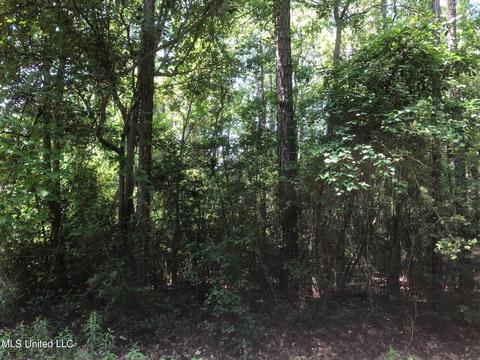 1501 Porpoise St, Ocean Springs, MS 39564