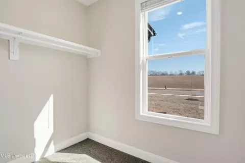 4878 June Fall Dr, Olive Branch, MS 38654 photo 18