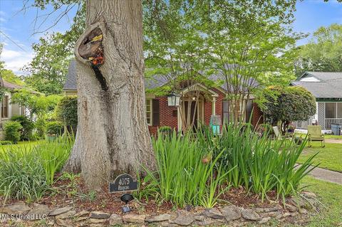 4075 Redwing Ave, Jackson, MS 39216 photo 5