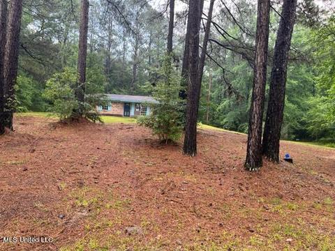 160 Pilgrim Rest Church Rd, Pinola, MS 39149