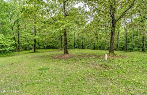 7011 Terry Rd, Terry, MS 39170 photo 34