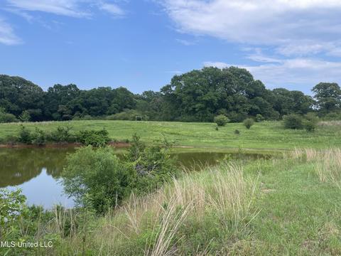 4780 County Line Rd, Carthage, MS 39051 photo 65