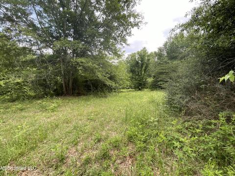4780 County Line Rd, Carthage, MS 39051 photo 88