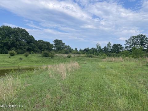 4780 County Line Rd, Carthage, MS 39051 photo 61