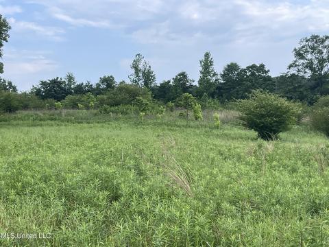 4780 County Line Rd, Carthage, MS 39051 photo 55