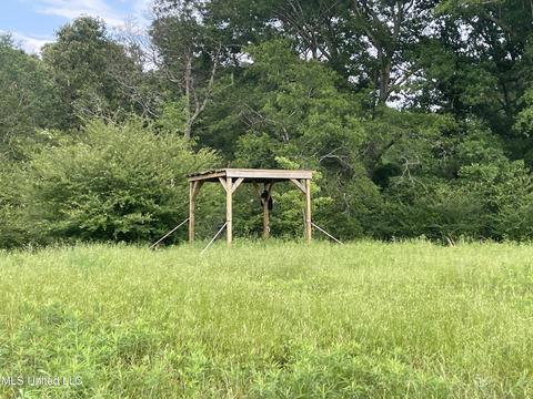 4780 County Line Rd, Carthage, MS 39051 photo 68