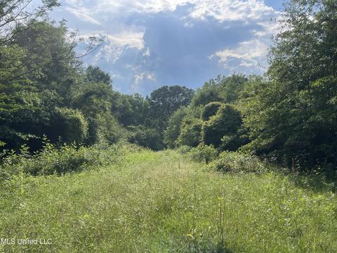 4780 County Line Rd, Carthage, MS 39051 photo 71