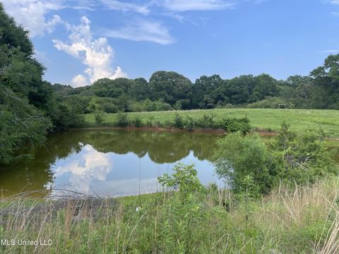 4780 County Line Rd, Carthage, MS 39051 photo 66