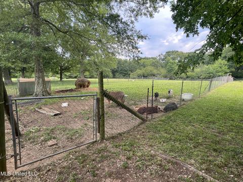 4780 County Line Rd, Carthage, MS 39051 photo 48