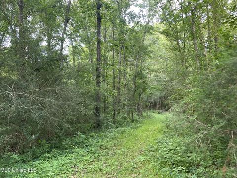4780 County Line Rd, Carthage, MS 39051 photo 79