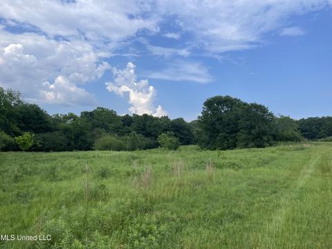 4780 County Line Rd, Carthage, MS 39051 photo 58