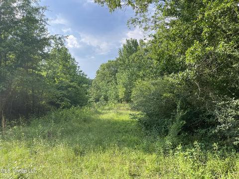 4780 County Line Rd, Carthage, MS 39051 photo 72