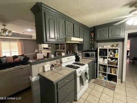 4780 County Line Rd, Carthage, MS 39051 photo 17