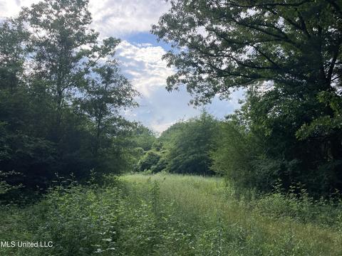 4780 County Line Rd, Carthage, MS 39051 photo 81