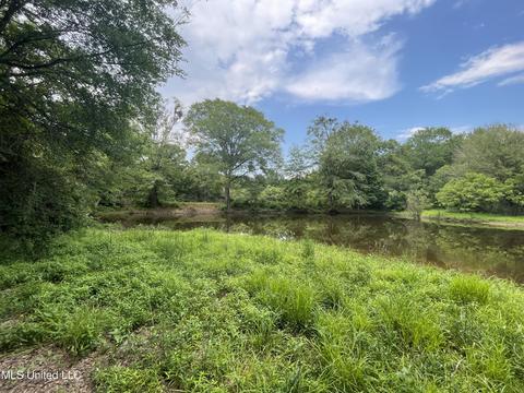 4780 County Line Rd, Carthage, MS 39051 photo 83