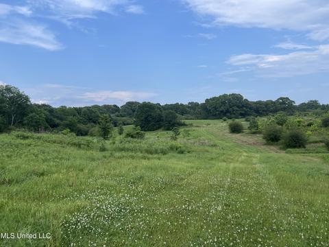 4780 County Line Rd, Carthage, MS 39051 photo 59