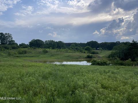 4780 County Line Rd, Carthage, MS 39051 photo 64