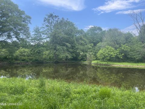 4780 County Line Rd, Carthage, MS 39051 photo 85