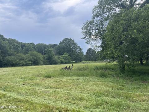 4780 County Line Rd, Carthage, MS 39051 photo 89