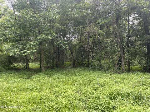 4780 County Line Rd, Carthage, MS 39051 photo 87