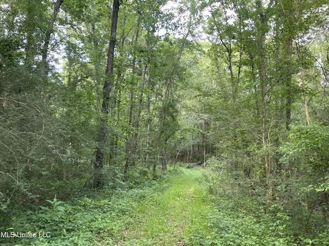 4780 County Line Rd, Carthage, MS 39051 photo 78